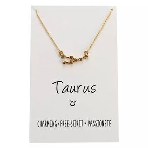 TAURUS STAR 🌟 CONSTELLATION CARD NECKLACE
